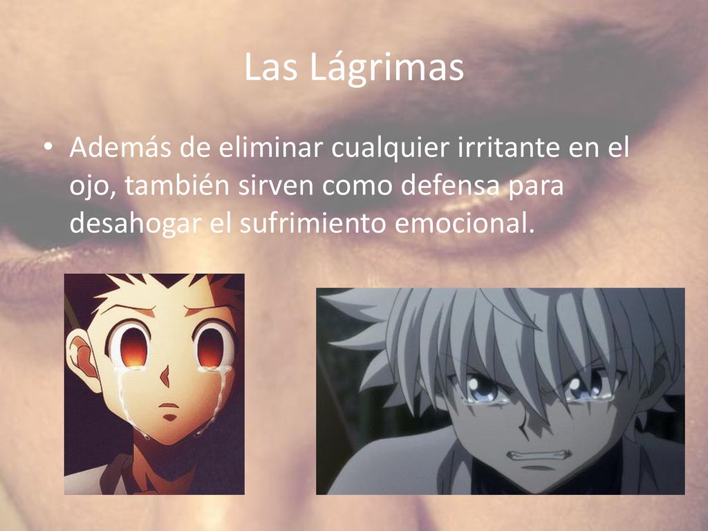Las Lágrimas Además de eliminar cualquier irritante en el ojo, también sirven como defensa para desahogar el sufrimiento emocional.
