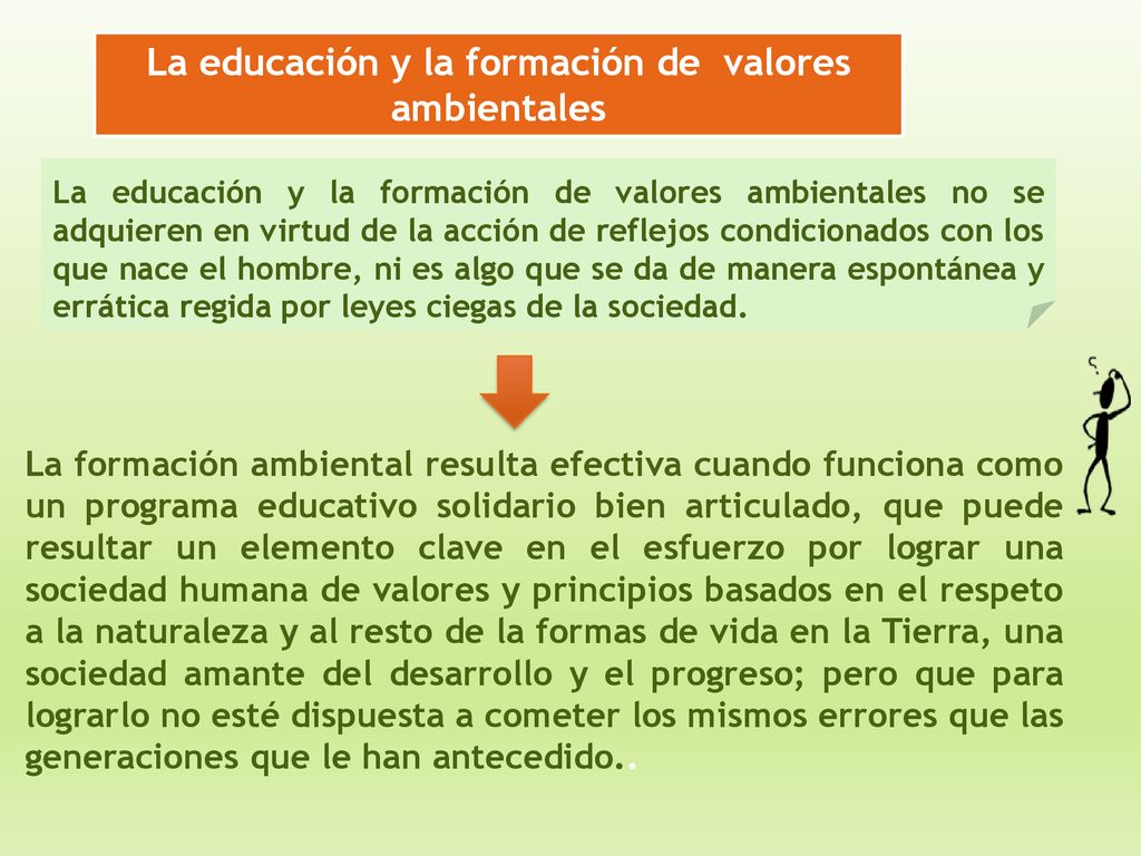 La educación y la formación de valores ambientales