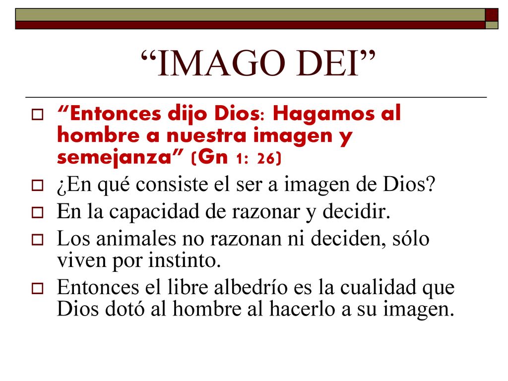 IMAGO DEI Entonces dijo Dios: Hagamos al hombre a nuestra imagen y semejanza (Gn 1: 26) ¿En qué consiste el ser a imagen de Dios