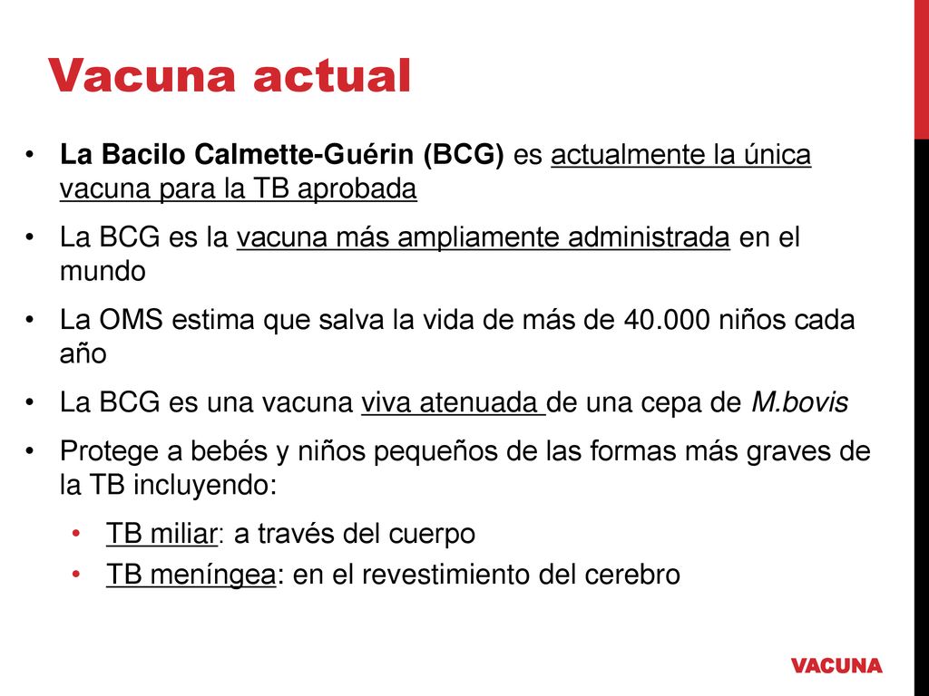 Vacuna actual La Bacilo Calmette-Guérin (BCG) es actualmente la única vacuna para la TB aprobada.