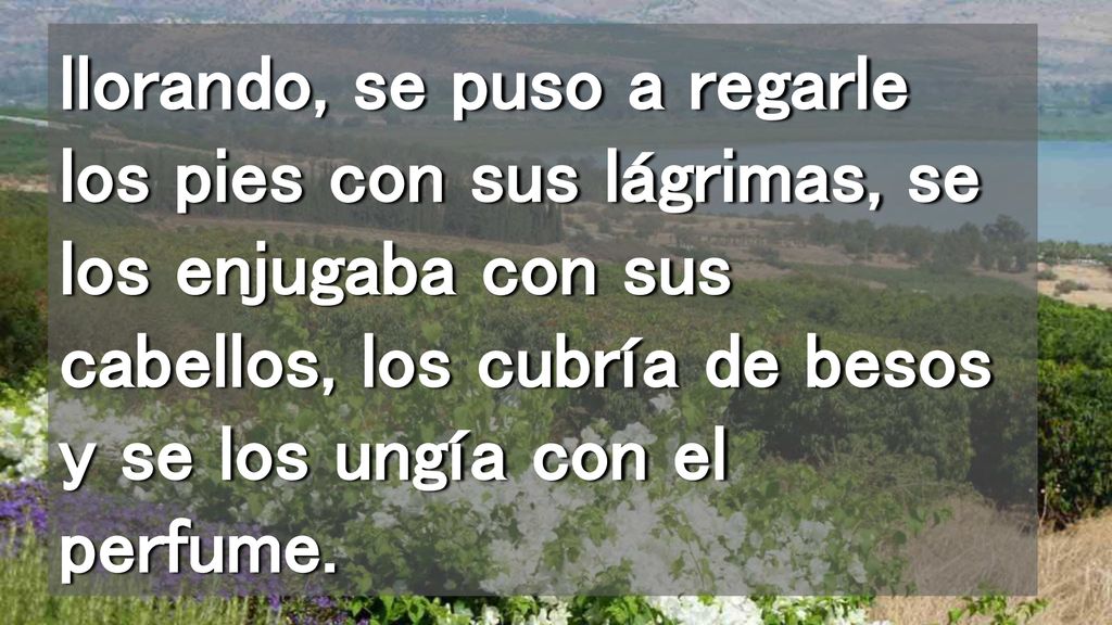llorando, se puso a regarle los pies con sus lágrimas, se los enjugaba con sus cabellos, los cubría de besos y se los ungía con el perfume.