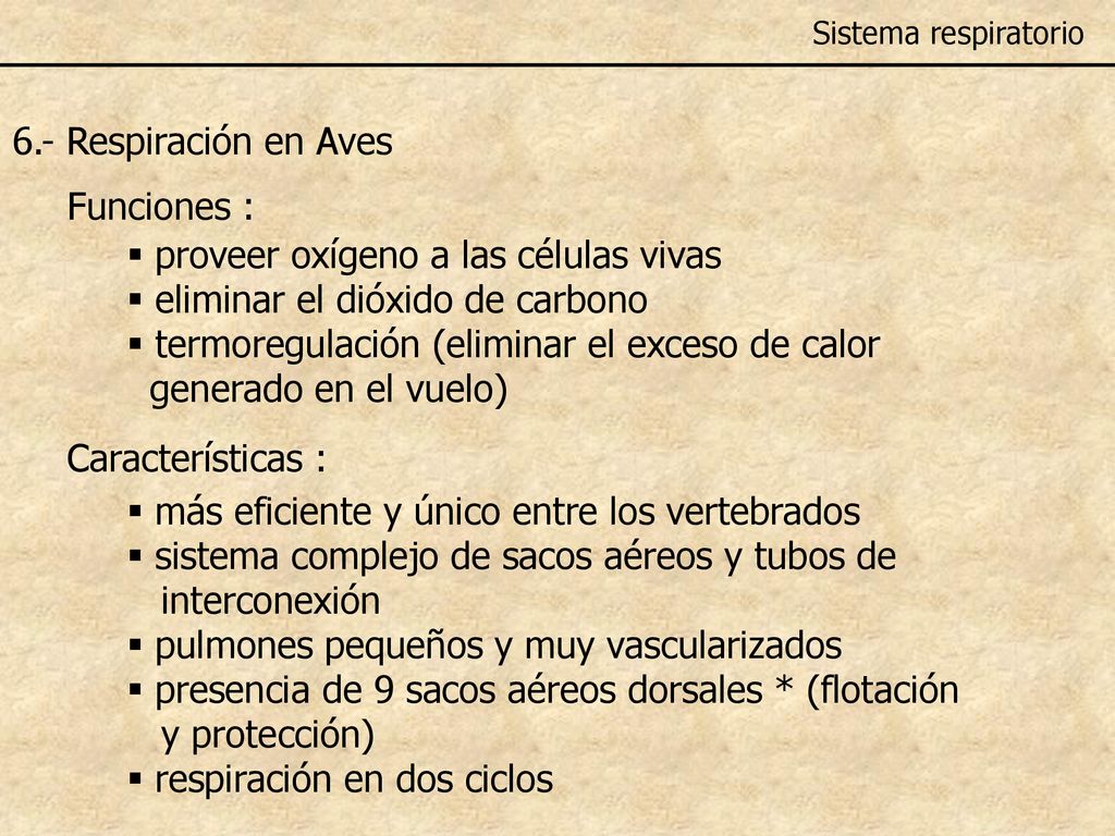 proveer oxígeno a las células vivas eliminar el dióxido de carbono