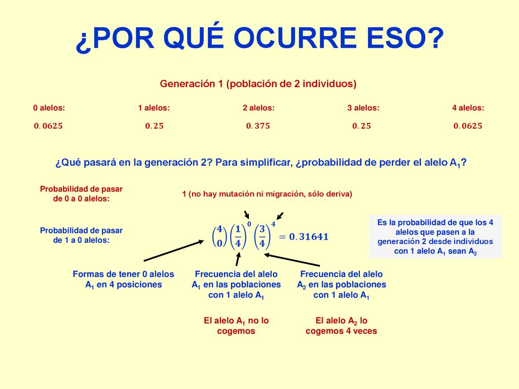 ¿POR QUÉ OCURRE ESO Generación 1 (población de 2 individuos)