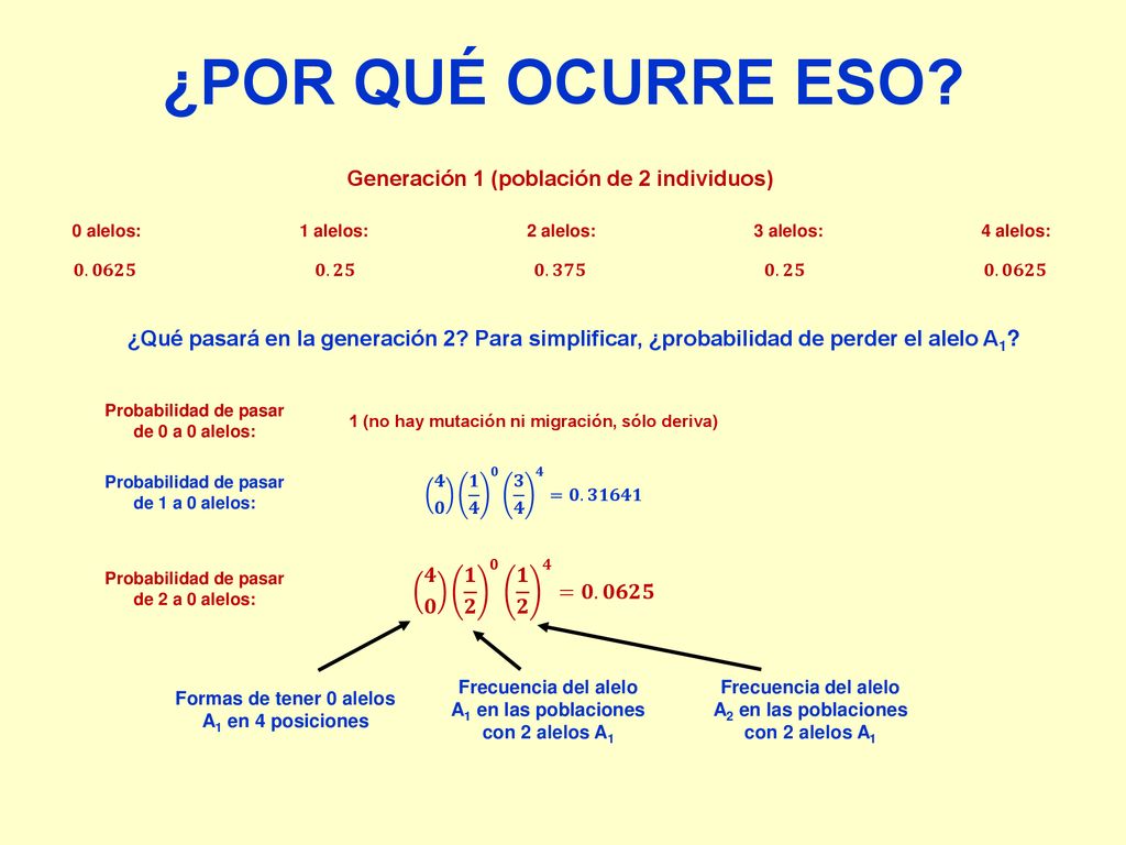 ¿POR QUÉ OCURRE ESO Generación 1 (población de 2 individuos)