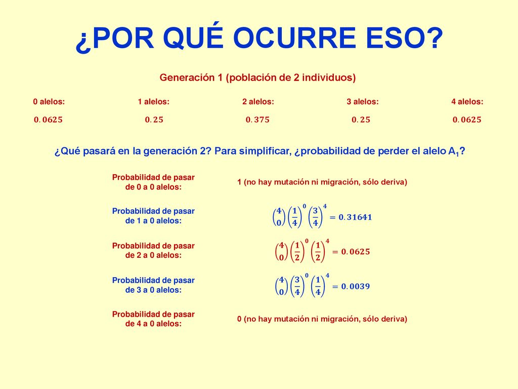 ¿POR QUÉ OCURRE ESO Generación 1 (población de 2 individuos)