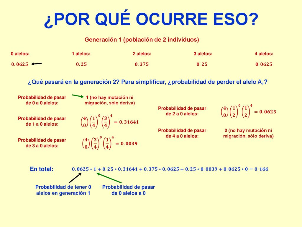 ¿POR QUÉ OCURRE ESO Generación 1 (población de 2 individuos)