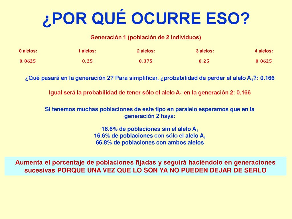 ¿POR QUÉ OCURRE ESO Generación 1 (población de 2 individuos) 0 alelos: 1 alelos: 2 alelos: 3 alelos: