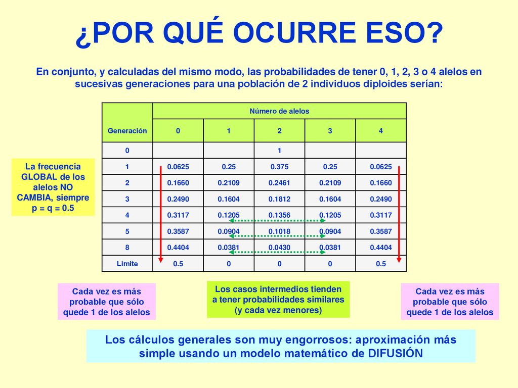 La frecuencia GLOBAL de los alelos NO CAMBIA, siempre p = q = 0.5
