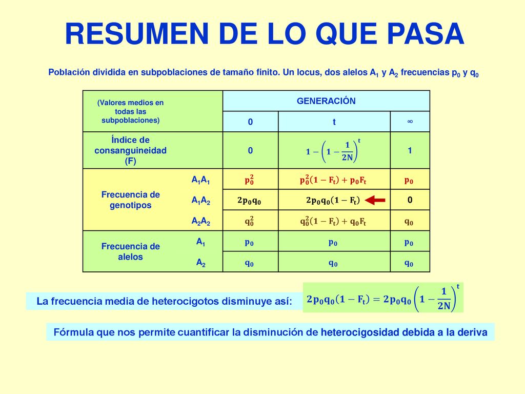 RESUMEN DE LO QUE PASA 𝟐 𝐩 𝟎 𝐪 𝟎 𝟏− 𝐅 𝐭 =𝟐 𝐩 𝟎 𝐪 𝟎 𝟏− 𝟏 𝟐𝐍 𝐭