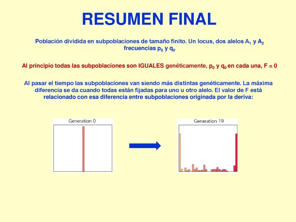 RESUMEN FINAL Población dividida en subpoblaciones de tamaño finito. Un locus, dos alelos A1 y A2 frecuencias p0 y q0.