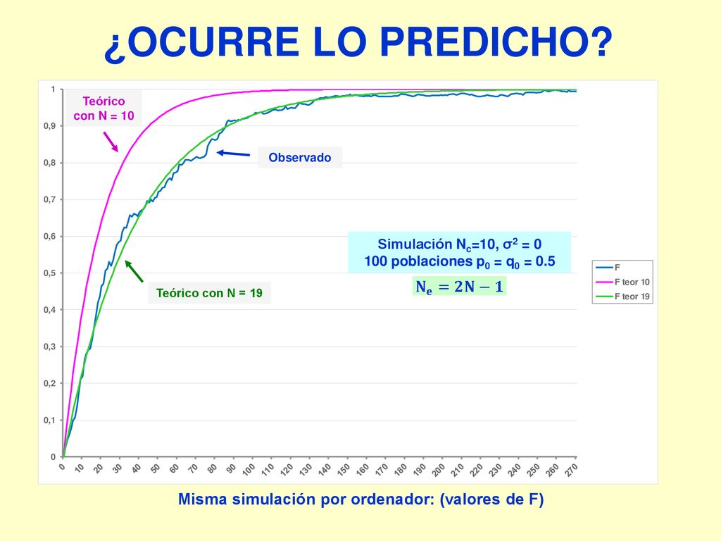 Misma simulación por ordenador: (valores de F)