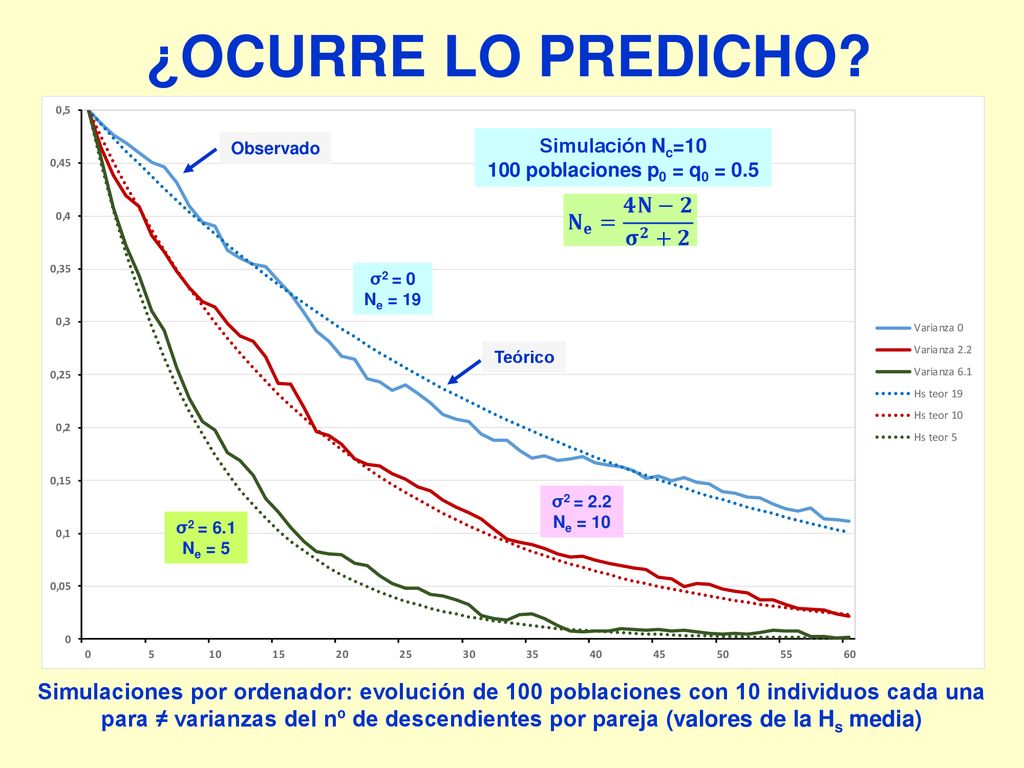 ¿OCURRE LO PREDICHO 𝐍 𝐞 = 𝟒𝐍−𝟐 𝛔 𝟐 +𝟐
