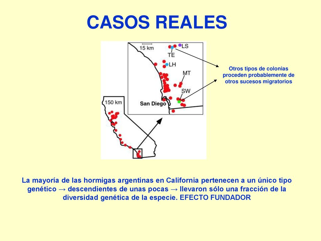 CASOS REALES Otros tipos de colonias proceden probablemente de otros sucesos migratorios.