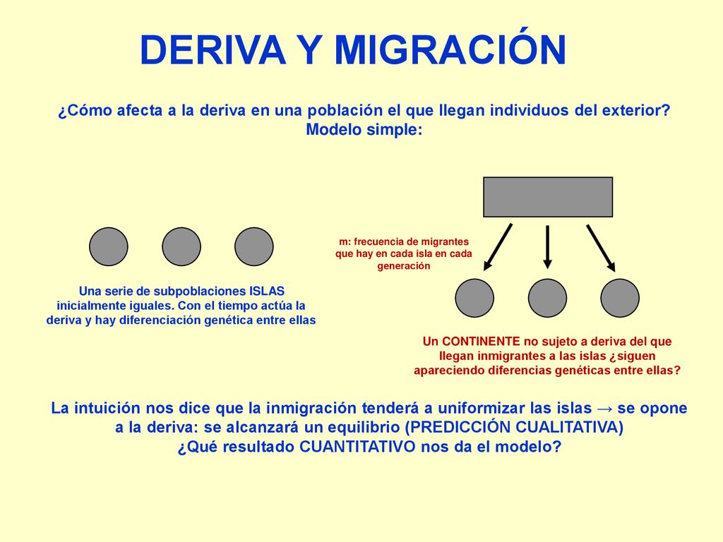m: frecuencia de migrantes que hay en cada isla en cada generación