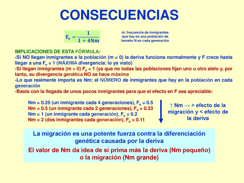 ↑ Nm → > efecto de la migración y < efecto de la deriva