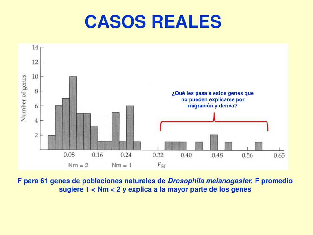 CASOS REALES ¿Qué les pasa a estos genes que no pueden explicarse por migración y deriva Nm = 2. Nm = 1.