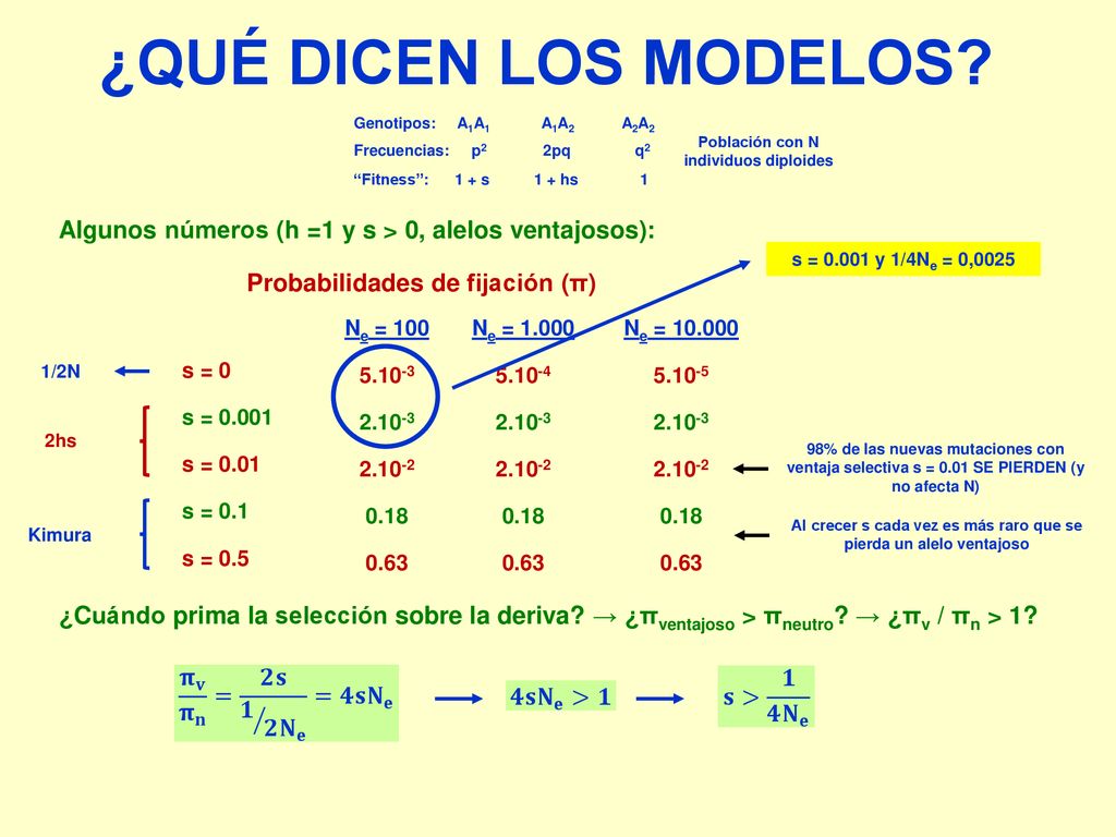 ¿QUÉ DICEN LOS MODELOS A1A1. A1A2. A2A2. Genotipos: p2. 2pq. q2. Frecuencias: 1 + s. 1. Fitness :