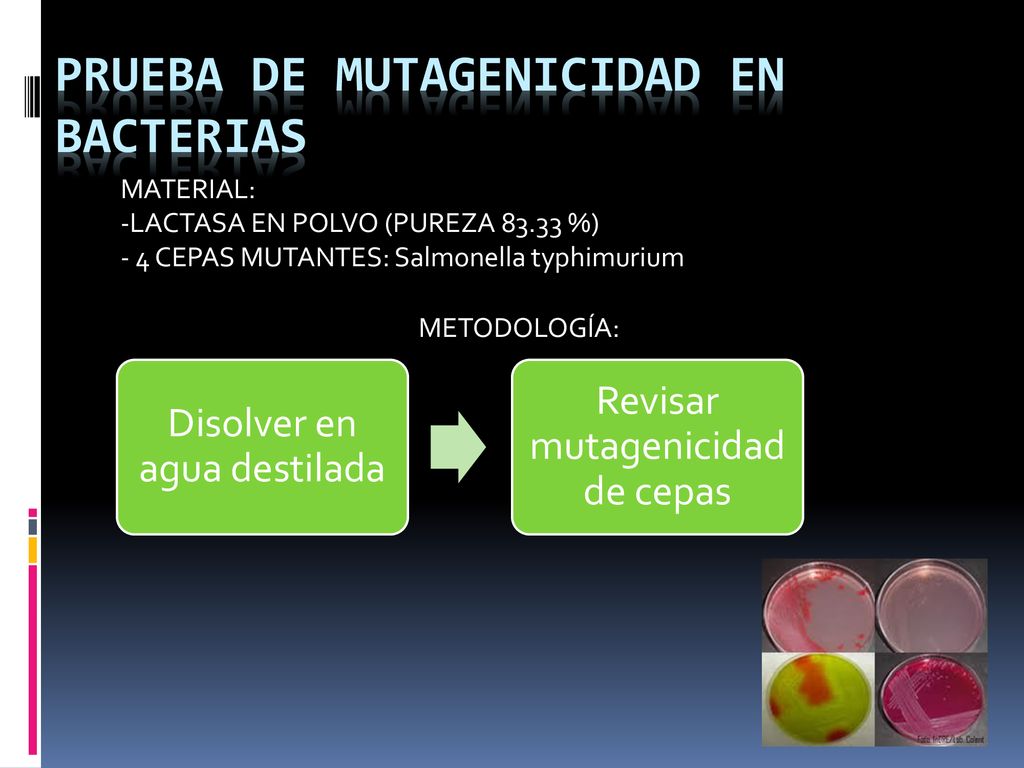 PRUEBA DE MUTAGENICIDAD EN BACTERIAS