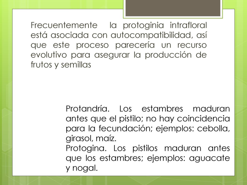 Frecuentemente la protoginia intrafloral está asociada con autocompatibilidad, así que este proceso parecería un recurso evolutivo para asegurar la producción de frutos y semillas