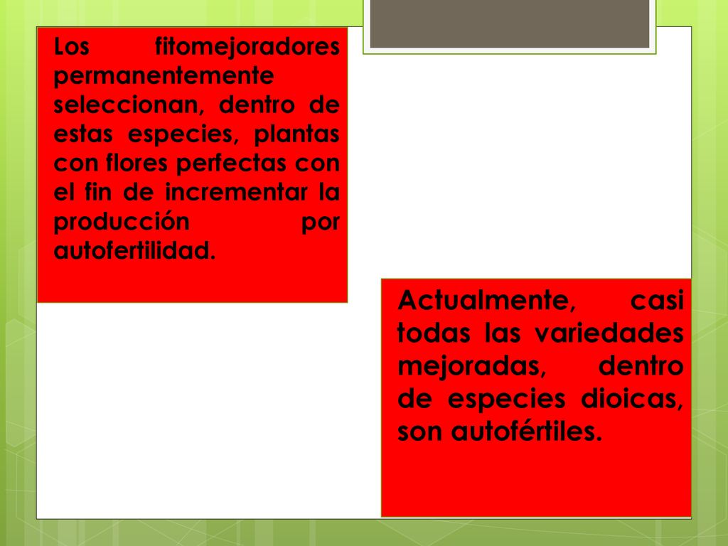 Los fitomejoradores permanentemente seleccionan, dentro de estas especies, plantas con flores perfectas con el fin de incrementar la producción por autofertilidad.