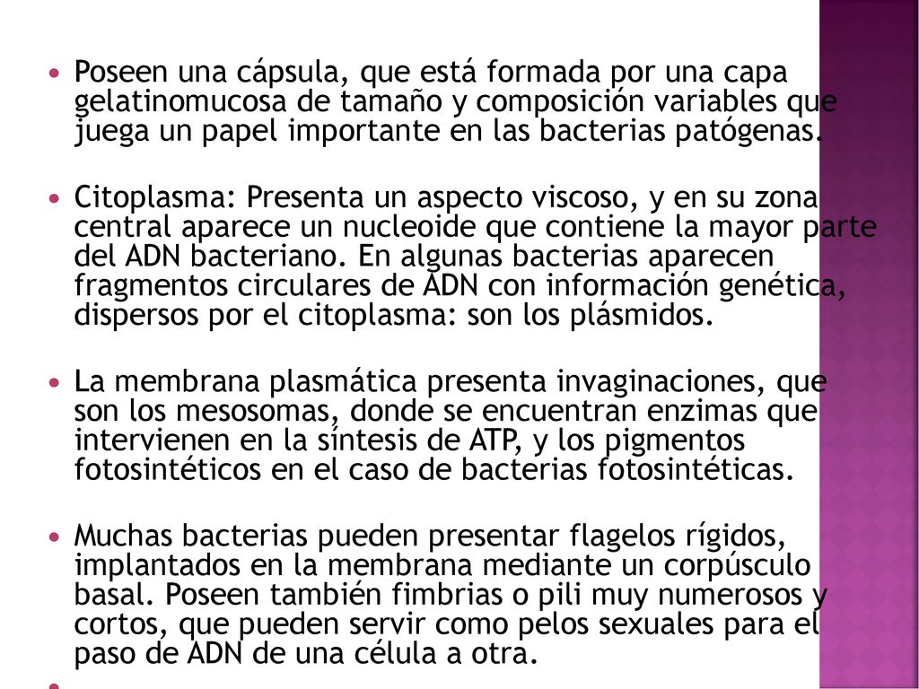 Poseen una cápsula, que está formada por una capa gelatinomucosa de tamaño y composición variables que juega un papel importante en las bacterias patógenas.