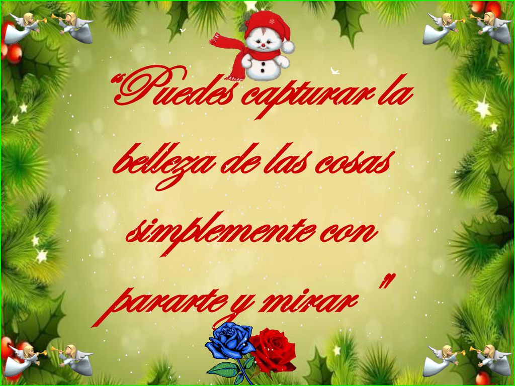 Puedes capturar la belleza de las cosas simplemente con pararte y mirar