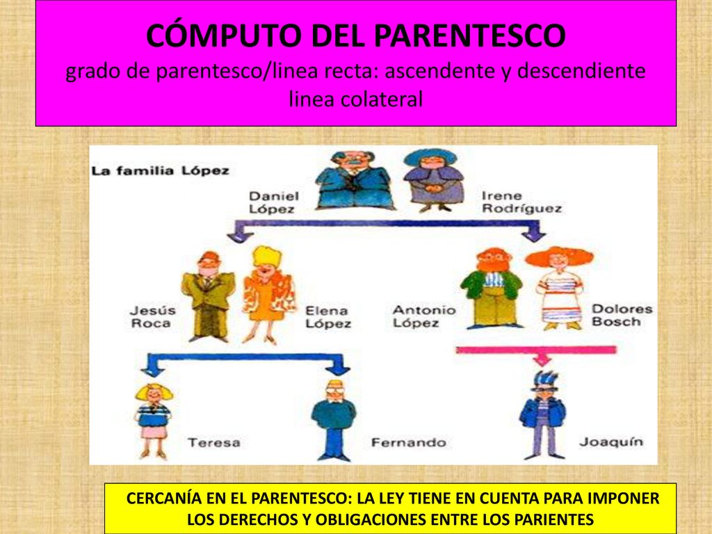 CÓMPUTO DEL PARENTESCO grado de parentesco/linea recta: ascendente y descendiente linea colateral
