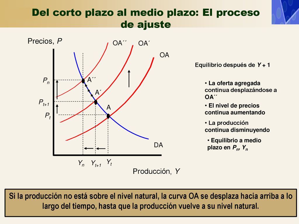 Del corto plazo al medio plazo: El proceso de ajuste
