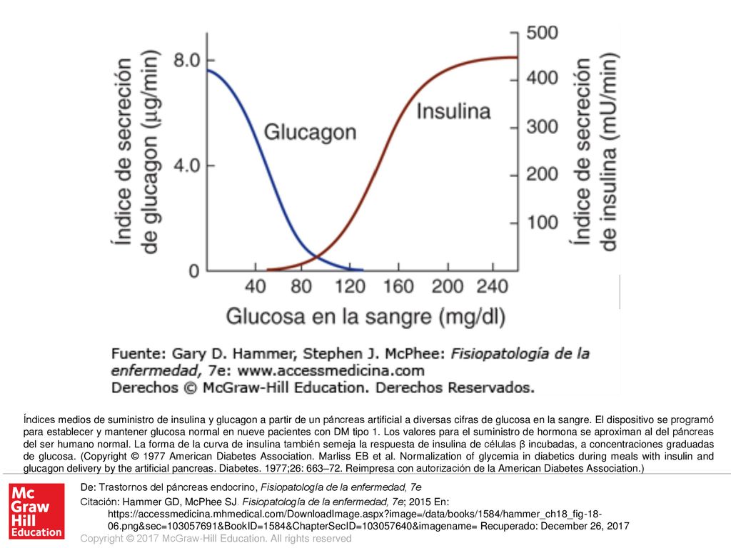 Índices medios de suministro de insulina y glucagon a partir de un páncreas artificial a diversas cifras de glucosa en la sangre. El dispositivo se programó para establecer y mantener glucosa normal en nueve pacientes con DM tipo 1. Los valores para el suministro de hormona se aproximan al del páncreas del ser humano normal. La forma de la curva de insulina también semeja la respuesta de insulina de células β incubadas, a concentraciones graduadas de glucosa. (Copyright © 1977 American Diabetes Association. Marliss EB et al. Normalization of glycemia in diabetics during meals with insulin and glucagon delivery by the artificial pancreas. Diabetes. 1977;26: 663–72. Reimpresa con autorización de la American Diabetes Association.)