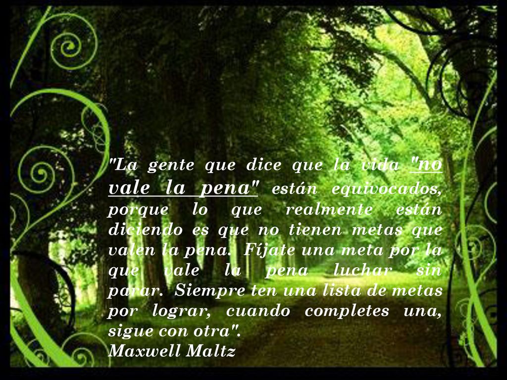 La gente que dice que la vida no vale la pena están equivocados, porque lo que realmente están diciendo es que no tienen metas que valen la pena. Fíjate una meta por la que vale la pena luchar sin parar. Siempre ten una lista de metas por lograr, cuando completes una, sigue con otra .