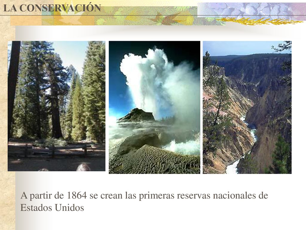 LA CONSERVACIÓN A partir de 1864 se crean las primeras reservas nacionales de Estados Unidos