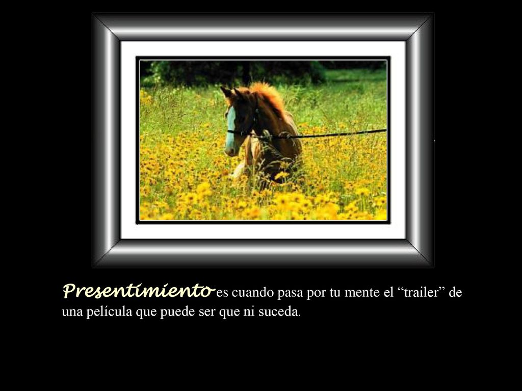 Presentimiento es cuando pasa por tu mente el trailer de una película que puede ser que ni suceda.