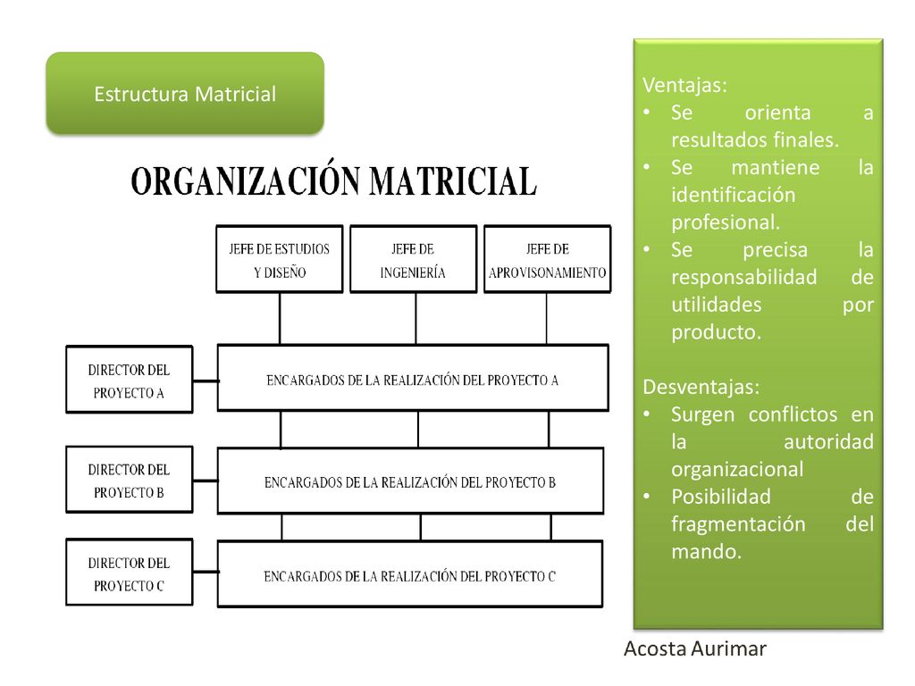 Ventajas: Se orienta a resultados finales. Se mantiene la identificación profesional. Se precisa la responsabilidad de utilidades por producto.