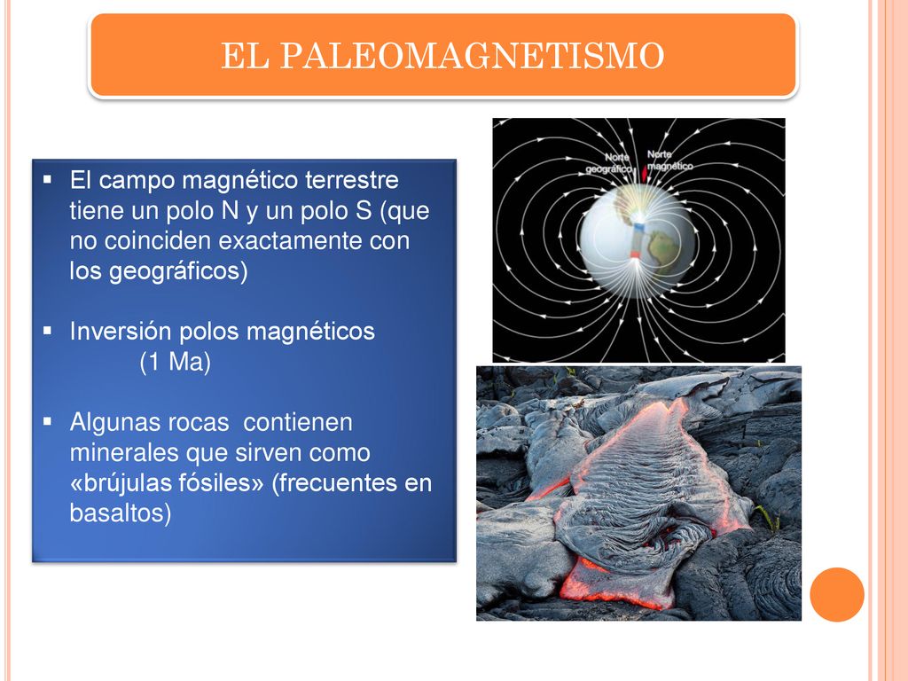 EL PALEOMAGNETISMO El campo magnético terrestre tiene un polo N y un polo S (que no coinciden exactamente con los geográficos)