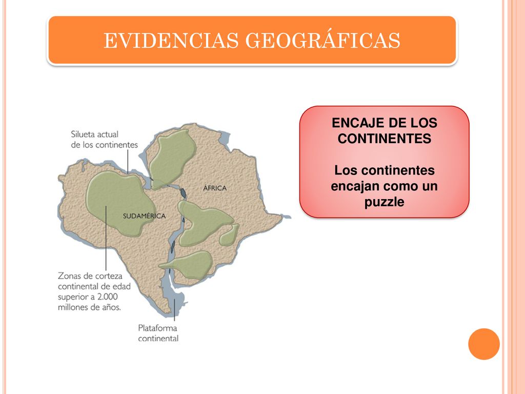 ENCAJE DE LOS CONTINENTES Los continentes encajan como un puzzle