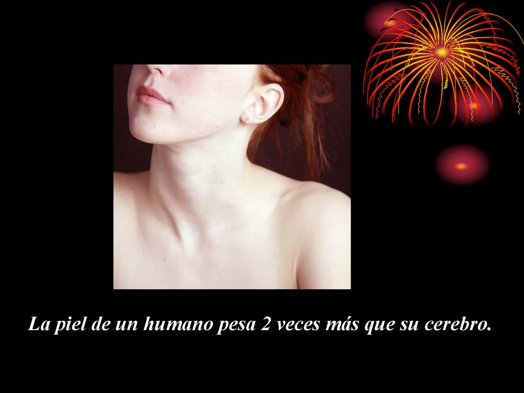 La piel de un humano pesa 2 veces más que su cerebro.