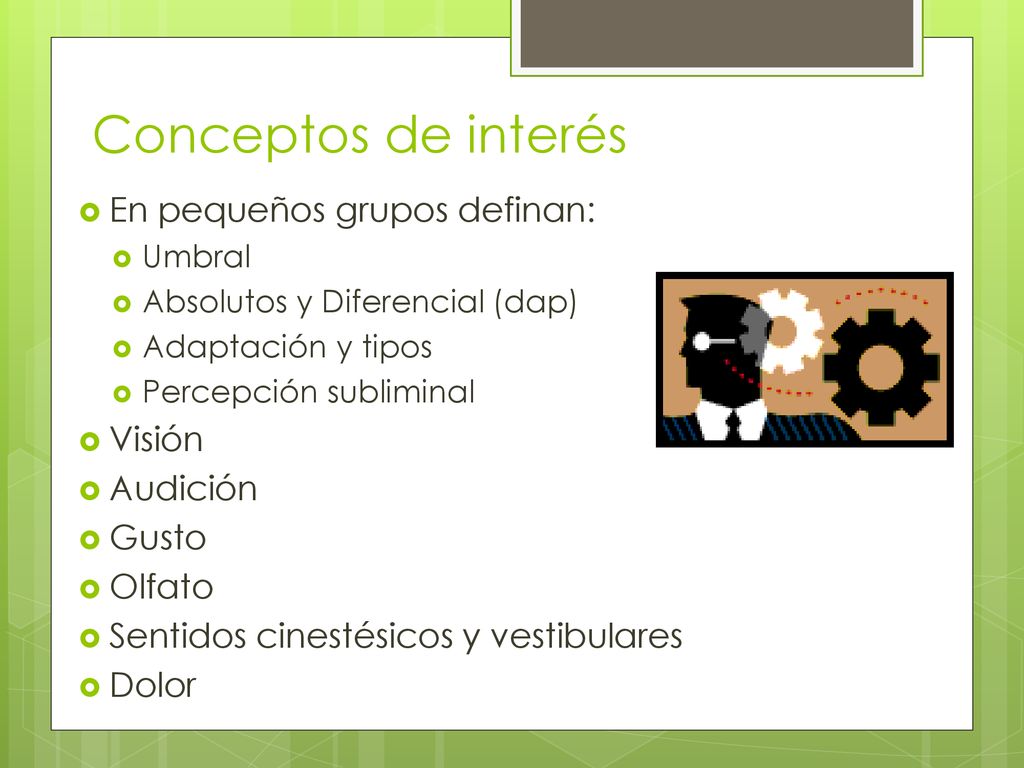 Conceptos de interés En pequeños grupos definan: Visión Audición Gusto