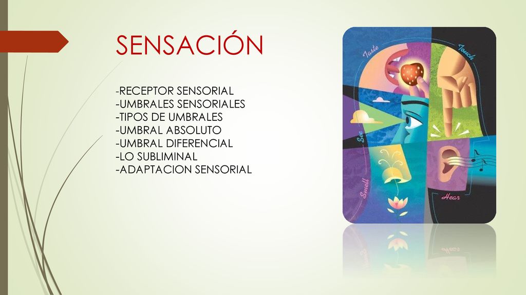 SENSACIÓN -UMBRALES SENSORIALES -TIPOS DE UMBRALES -UMBRAL ABSOLUTO