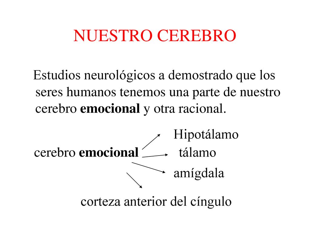 NUESTRO CEREBRO Estudios neurológicos a demostrado que los seres humanos tenemos una parte de nuestro cerebro emocional y otra racional.