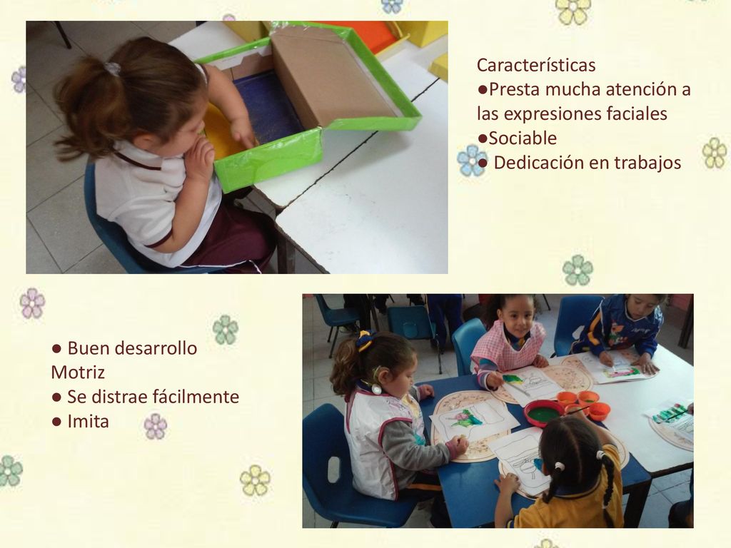 Características ●Presta mucha atención a las expresiones faciales. ●Sociable. ● Dedicación en trabajos.