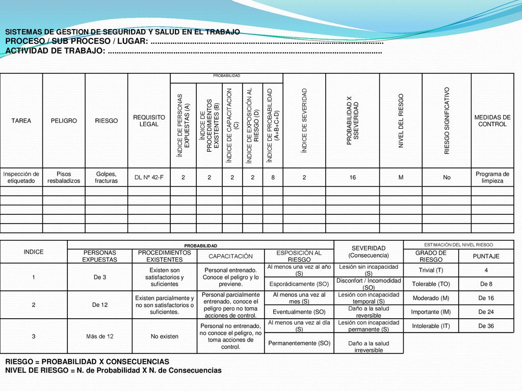 SISTEMAS DE GESTION DE SEGURIDAD Y SALUD EN EL TRABAJO