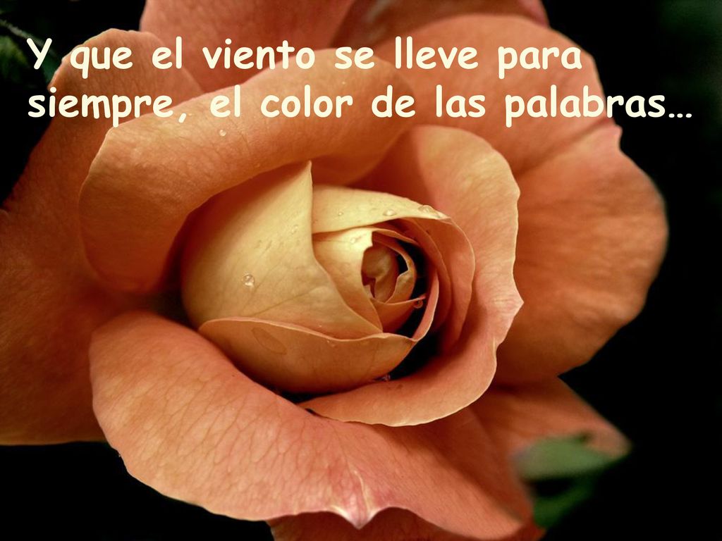 Y que el viento se lleve para siempre, el color de las palabras…
