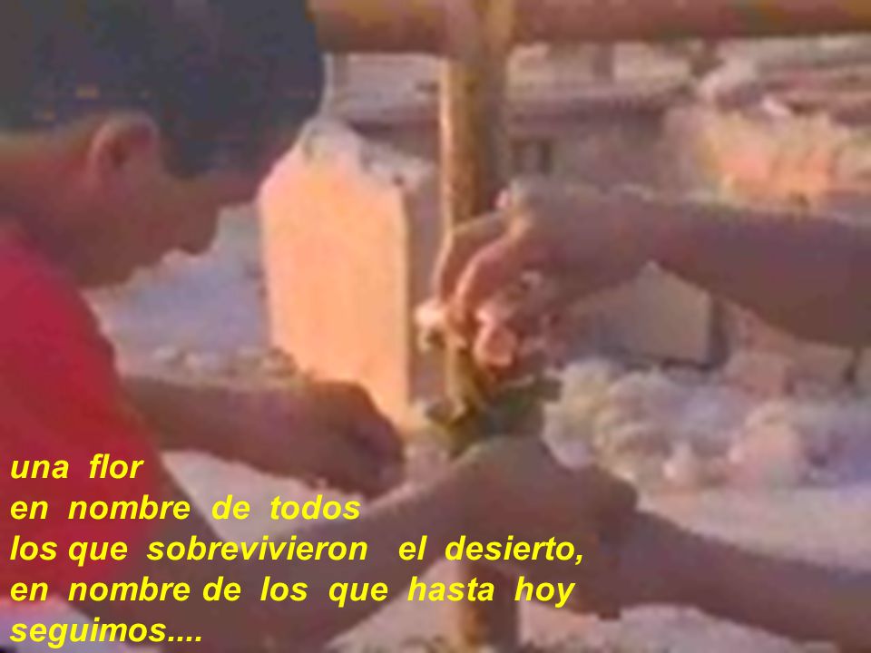 una flor en nombre de todos. los que sobrevivieron el desierto, en nombre de los que hasta hoy.