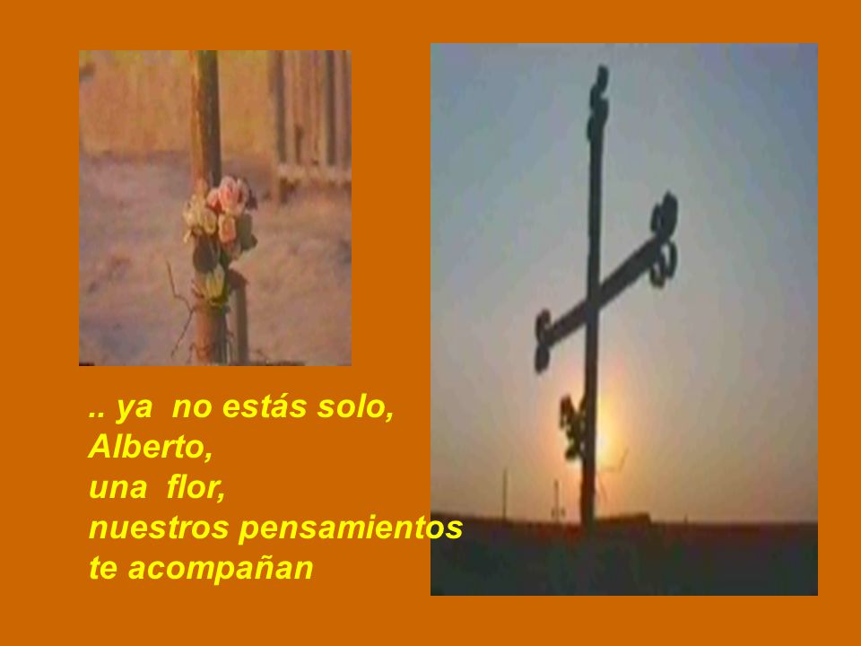 .. ya no estás solo, Alberto, una flor, nuestros pensamientos te acompañan