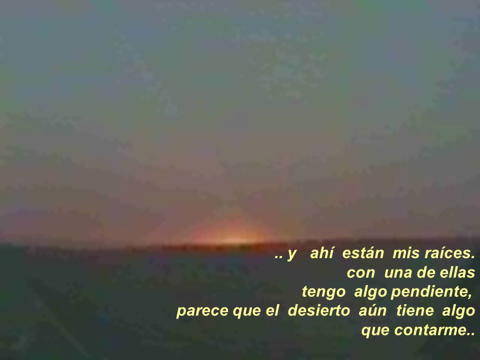 .. y ahí están mis raíces. con una de ellas. tengo algo pendiente, parece que el desierto aún tiene algo.