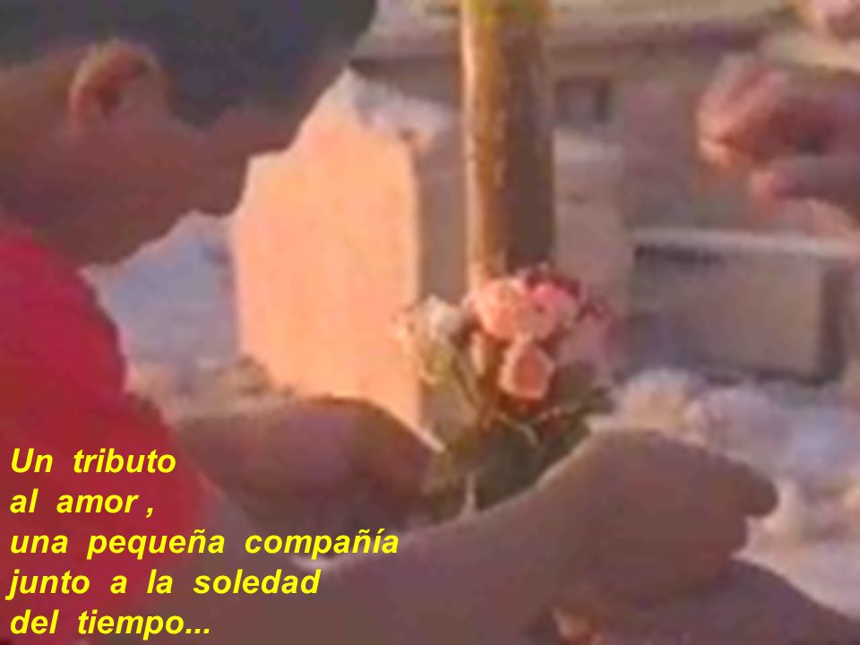Un tributo al amor , una pequeña compañía junto a la soledad del tiempo...