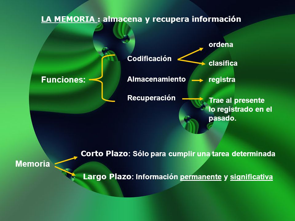 Funciones: Memoria LA MEMORIA : almacena y recupera información ordena