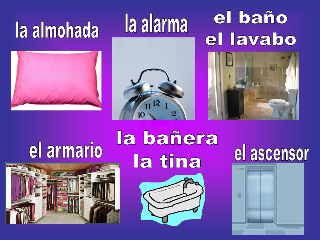 el baño el lavabo la alarma la almohada la bañera la tina el armario el ascensor