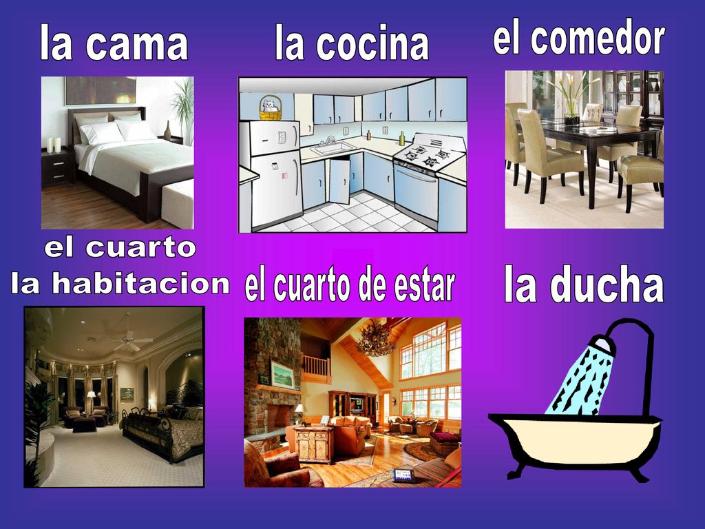 el comedor la cama la cocina el cuarto la habitacion el cuarto de estar la ducha