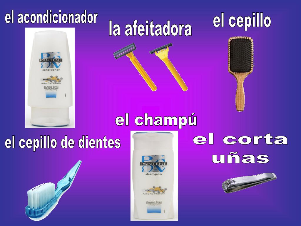 el acondicionador el cepillo la afeitadora el champú el corta uñas el cepillo de dientes